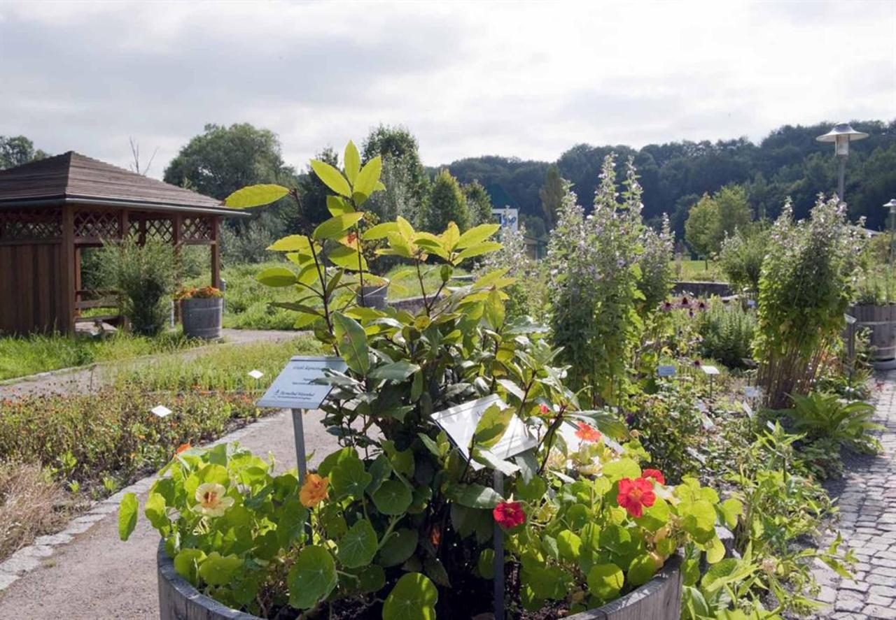 Thermalbad Wiesenbad Экстерьер фото